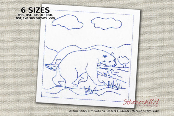 Big Brown Bear Roaming in the Forest Review
